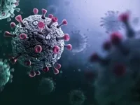 Chủng virus corona mới phát hiện có nguy cơ lây lan mạnh như COVID-19?