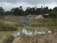 Tỷ lệ phá rừng Amazon ở Colombia giảm thấp nhất trong hơn hai thập kỷ