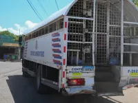 Ngăn chặn làn sóng di cư từ Haiti, Dominica trục xuất hơn 276.000 người