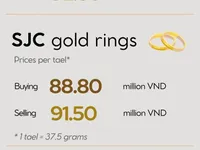 Infographic: Gold prices soar to unprecedented level on February 11