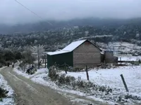 Severe cold wave hits Northern and North Central Vietnam