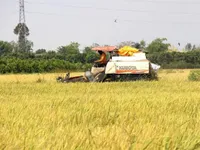 Conference looks to lure hi-tech investment in low-emission rice cultivation