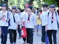University admissions 2024 post positive results
