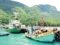 Efforts to connect Con Dao with national power grid