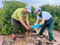 Planting one million trees for a green Vietnam