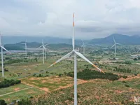 Vietnam needs decisive action to achieve net zero goal