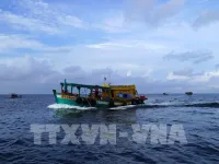 Kien Giang intensifies fight against IUU fishing to have EC’s 'yellow card' removed