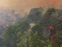 Hàn Quốc sơ tán hàng nghìn dân do cháy rừng
