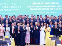 Vietnamese, Japanese PMs attend forum on strategic industries cooperation