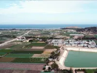 Vietnam restarts Ninh Thuan nuclear project, eyes skilled workforce to ensure safety