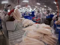 Tra fish exports on track reach close to 2 billion USD in 2025