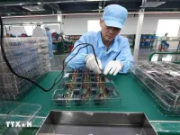 Vietnam, Azerbaijan see potential for stronger trade ties