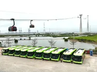 Cat Ba greens public transport to develop tourism