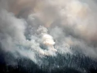 Nga: Cháy rừng nghiêm trọng ở Siberia, trên 600.000 ha bị thiêu rụi