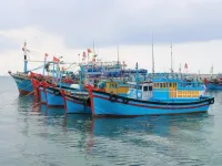 Ben Tre cracks down on illegal fishing to lift EC’s yellow card warning