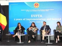 EVFTA helps strengthen strategic trust between Vietnam, EU: Brussels seminar
