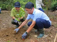 Hundreds of trees planted in Cuc Phuong National Park as part of Forestival