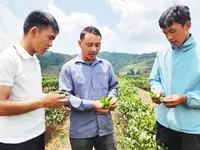 People's heart posture on the national frontier