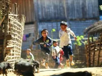 Vietnam works to end child labour