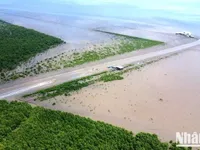 Spreading green living in communities