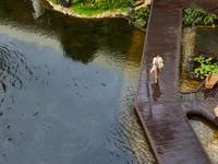 Westin Champions Restorative Travel on Global Wellness Day 2025