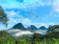 Efforts enhanced to accelerate establishment of carbon credit exchange