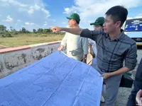 WEIDAP: sustainable solution to drought problem