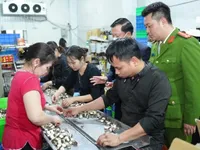 Strict measures to tackle commercial fraud, counterfeit goods in healthcare sector
