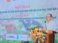 Promoting nature and biodiversity conservation for sustainable development