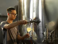 Junbucha – The new craze in the world of fermented beverages