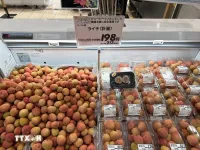 Vietnam Goods Week opens in Japan’s Saitama prefecture