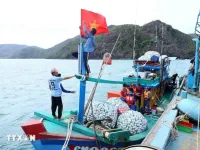 Tien Giang steps up efforts to combat IUU fishing