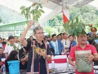 Building medicinal herb industry hub