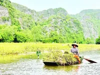 Returning to the place where farming originated