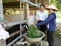 More livelihood opportunities for sustainable poverty reduction