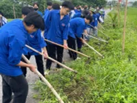 Young people volunteer in building new-styled rural areas