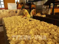 Vietnam targets 3.3 billion USD in rubber exports this year