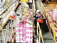 Attracting enterprises to invest in green industrial parks