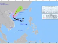 Storm No.1 reaches gusts of level 13, located 140km east of Bach Long Vi Island