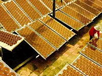 Reviving the fragrant legacy of incense making in Cao Village