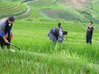 Khe Tau villagers unite to breathe new vitality into their homeland