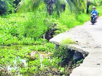 Living in harmony with nature: A sustainable development solution for Mekong delta