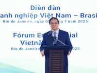 PM vows favourable conditions for Brazilian firms to successfully invest in Vietnam