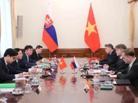 Vietnam, Slovakia hold political consultation
