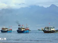 Hue border guards play pivotal role in efforts to remove EC 'yellow card'