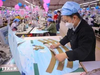 Raw materials centre key to boosting textiles, footwear sectors