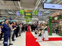 EVFTA spurs economic growth between Vietnam and France