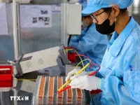 Hanoi's economy thrives with record FDI flow