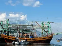 Da Nang expects removal of EC yellow card, sustainable fishery industry