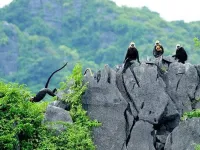 Promoting sustainable livelihoods